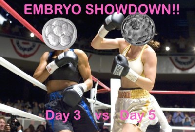 Note that the image is nicked from Million Dollar Baby, which is appropriate because our future baby is costing exactly that.